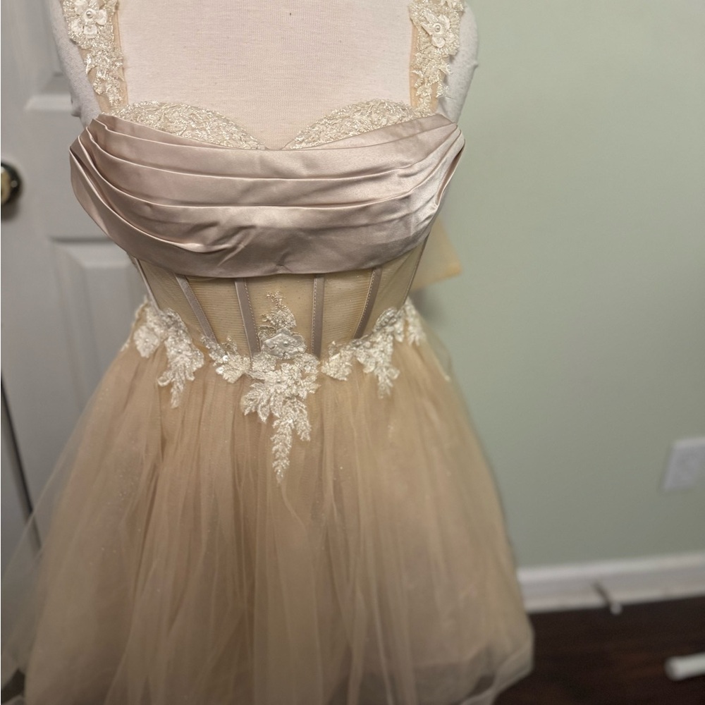 Champagne Lace & Tulle Corset Fit Cocktail Dress
